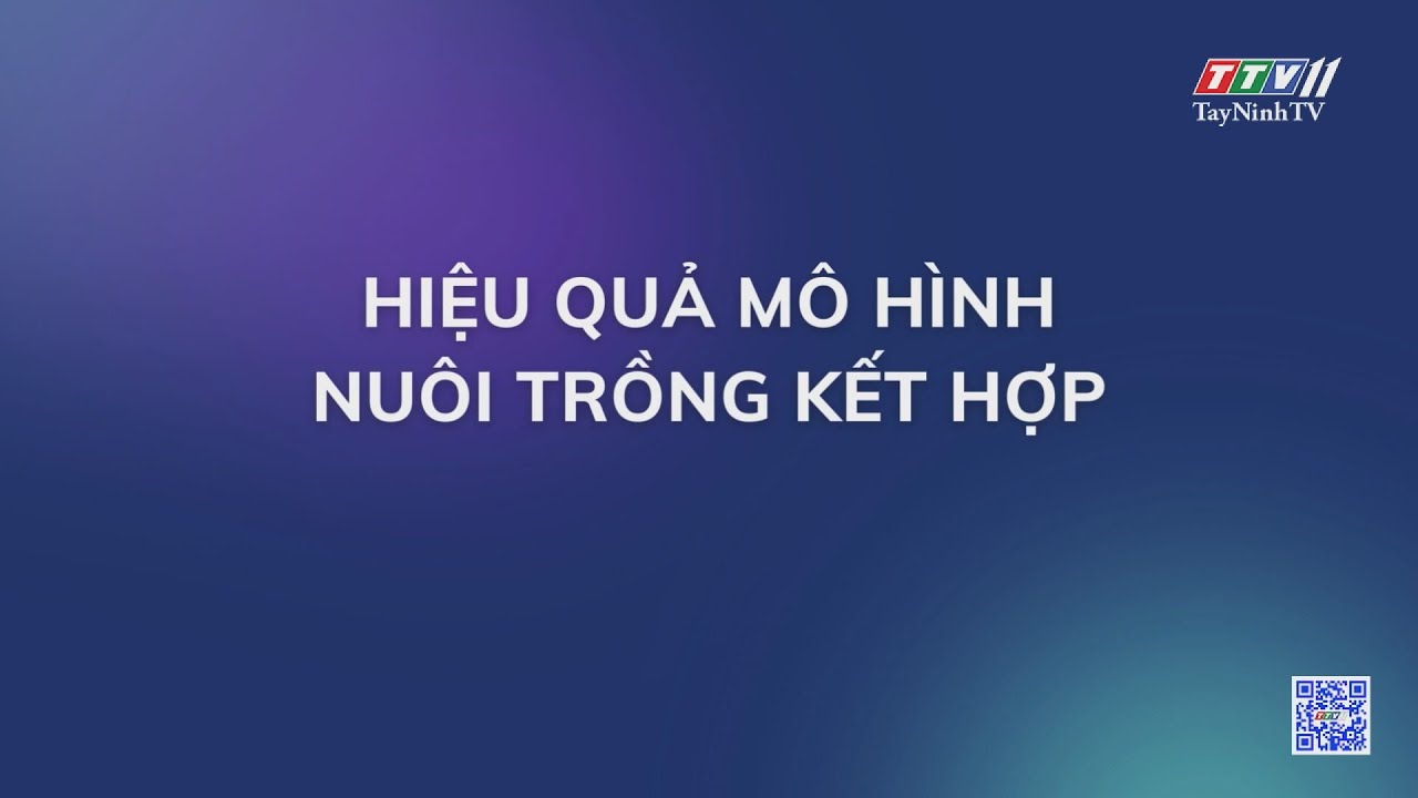 Hiệu quả mô hình nuôi - trồng kết hợp | NÔNG NGHIỆP TÂY NINH | TayNinhTV